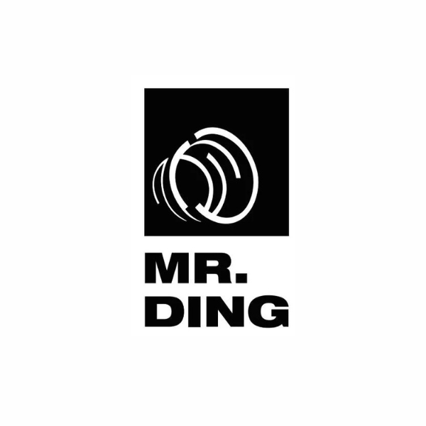 MR.DING